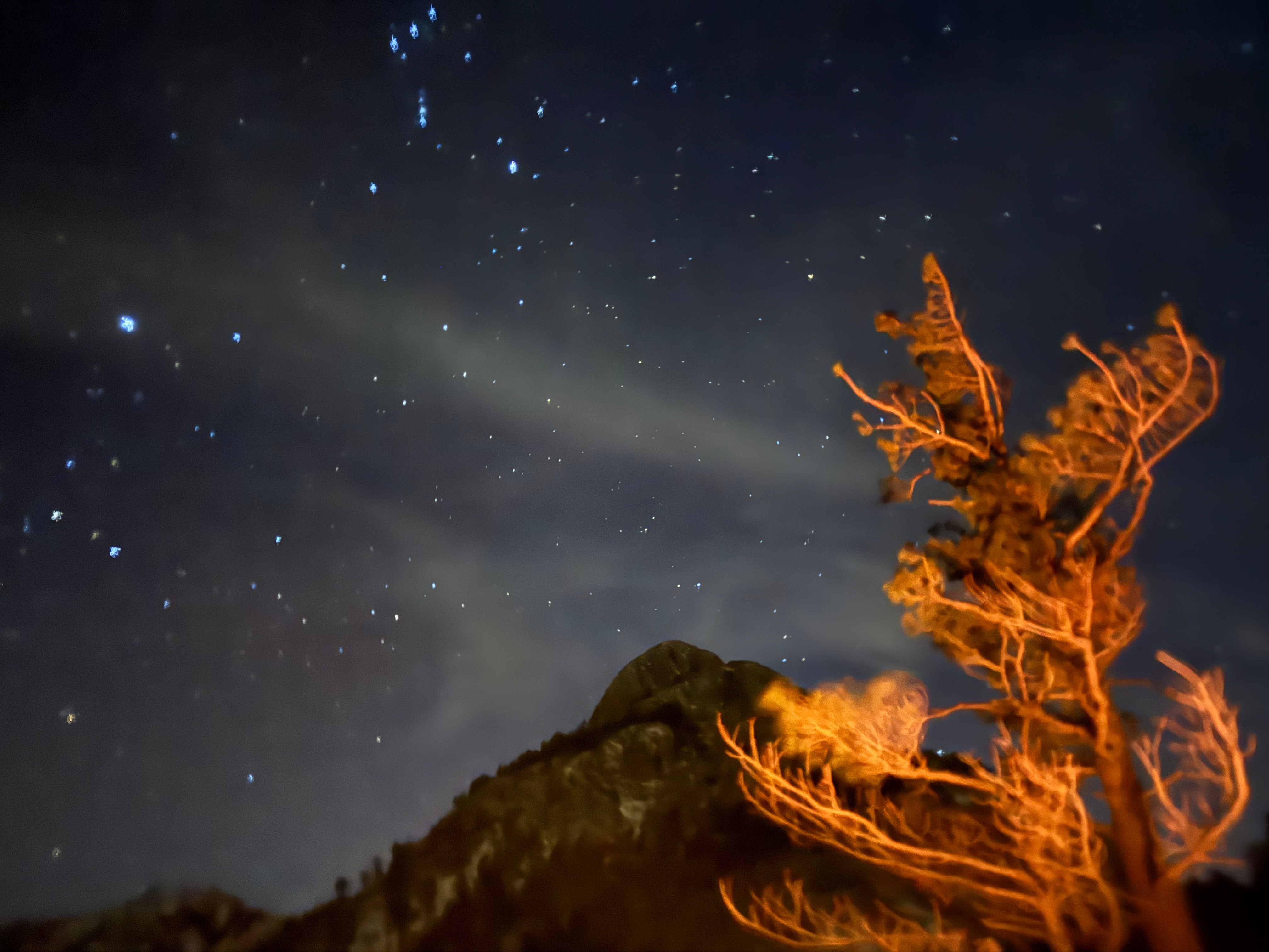 The Mountain as Man’s Quest in Desire