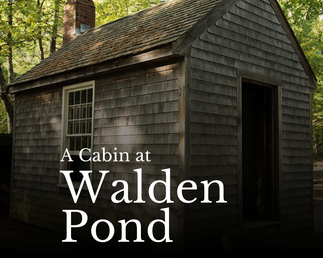 A Cabin at Walden Pond